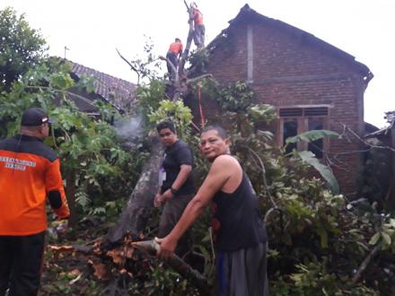 FPRB Dewo dan SAR Sultan Agung Evakuasi Pohon Tumbang di Pandes II